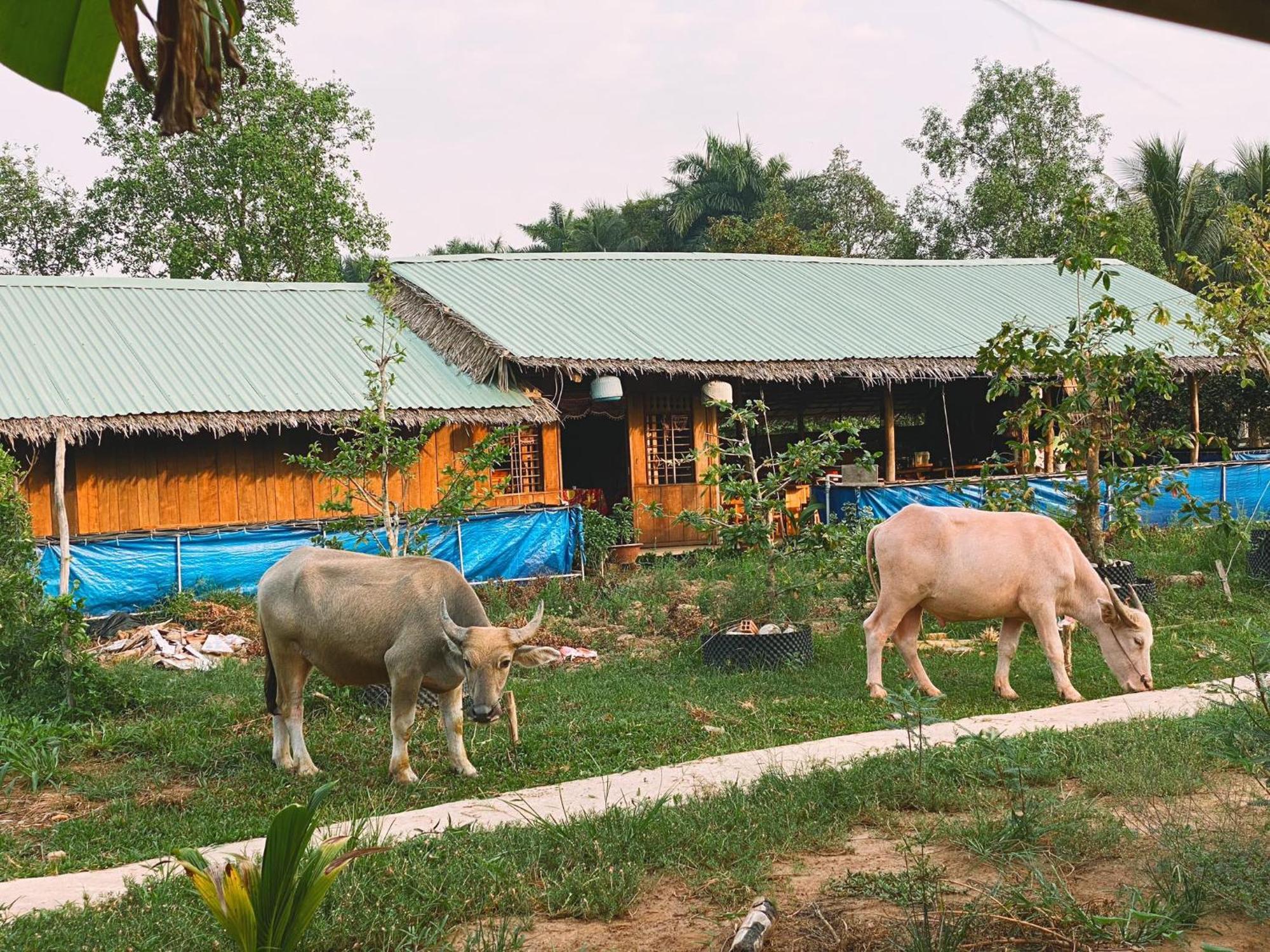 The Local Homestay Con Son Cần Thơ Ngoại thất bức ảnh